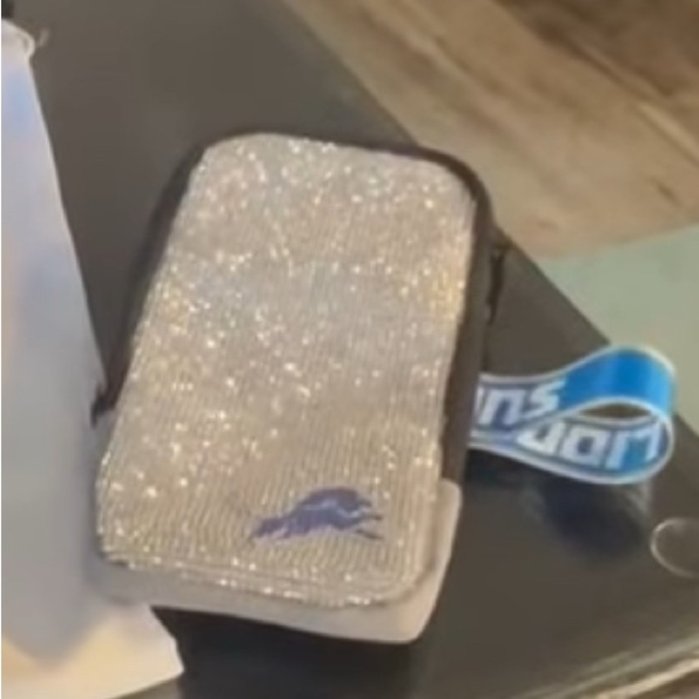 Sparkling Silver Phone Pouch